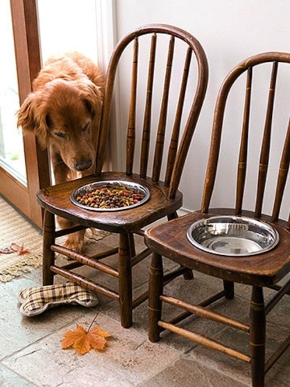 repurpose-chairs-for-use-as-dog-feeder